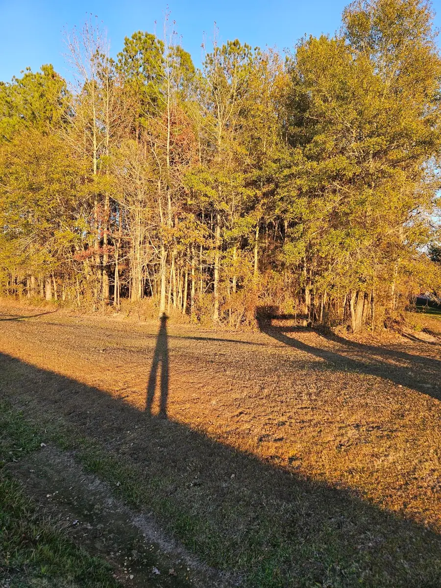 0 Wolfe Trail, Caledonia, MS 39740 - #3