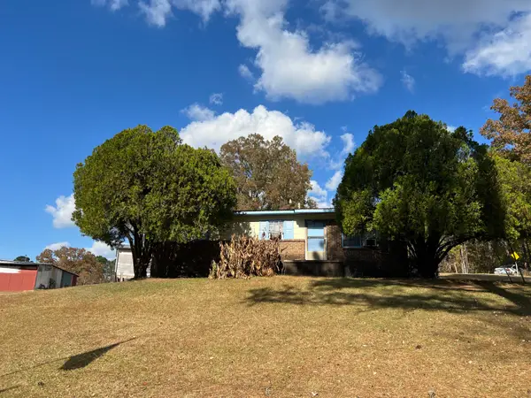 1019 Tower Rd, Vernon, AL 35592