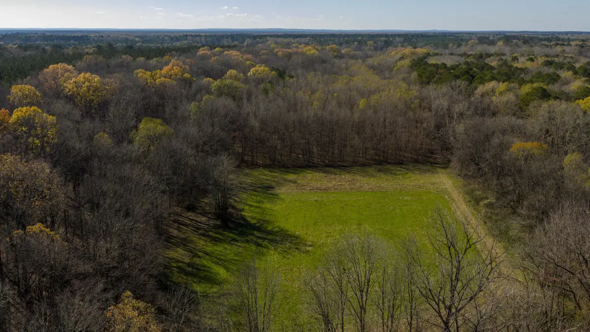 Oktoc Road, Starkville, MS 39759 - #1