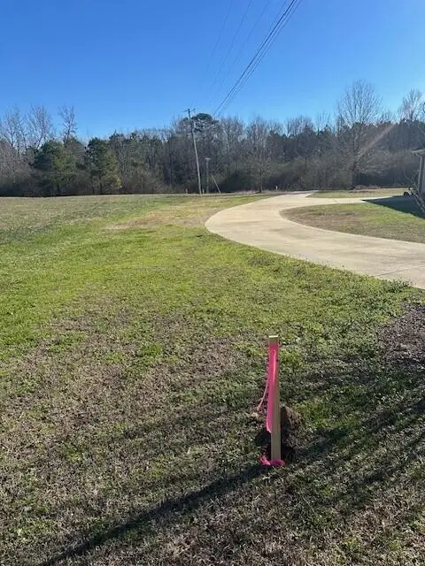 Walden Drive, Columbus, MS 39705 - #2