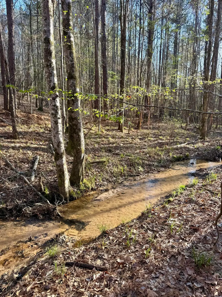 0 Hwy 15, Ackerman, MS 39735 - #3