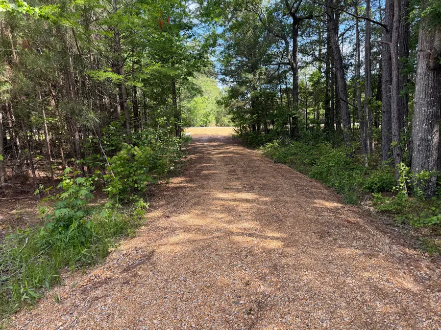 S Perkins, Columbus, MS 39705 - #3
