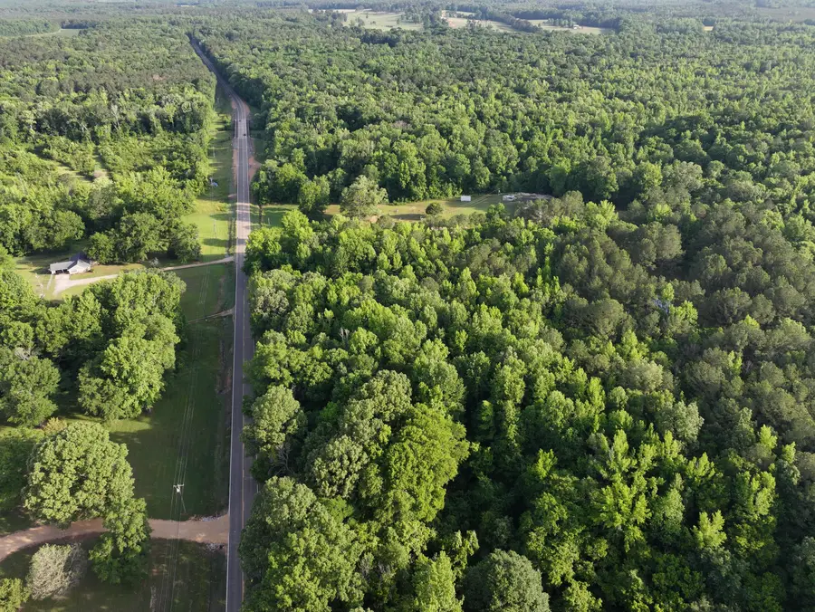 120 Weaver, Columbus, MS 39702 - #2
