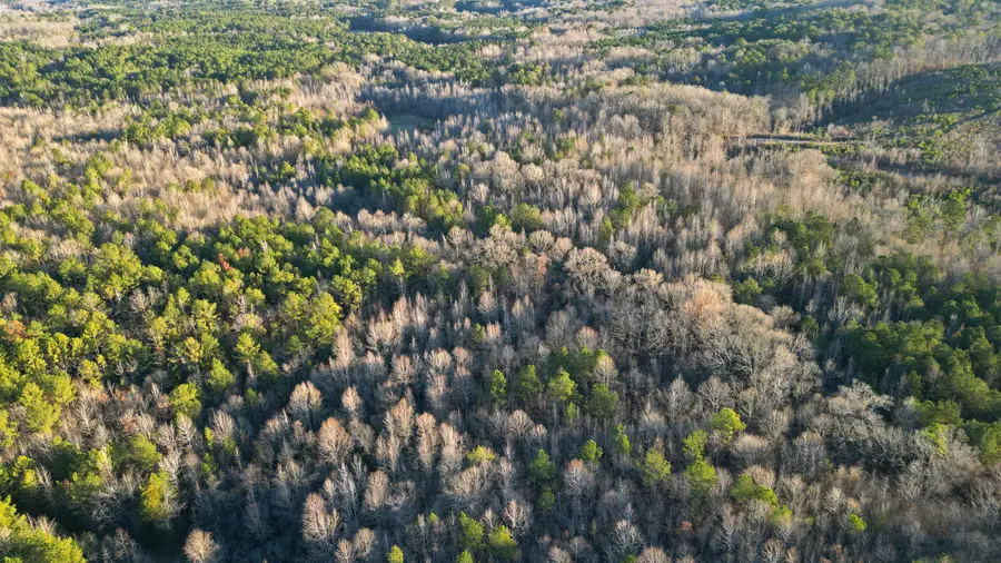 400 Pittman Road, Ackerman, MS 39735 - #2