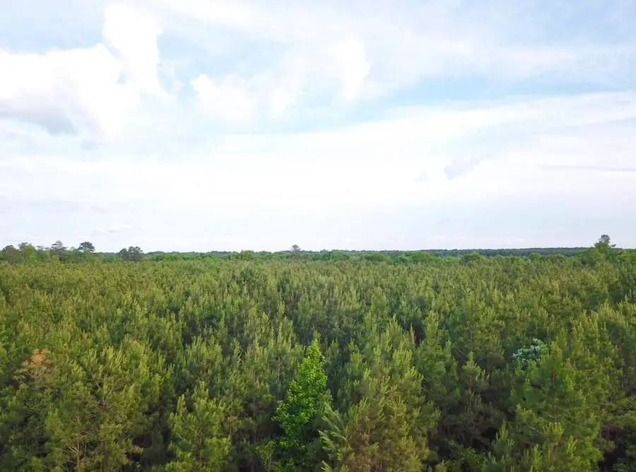 Tract #1 Dry Branch Road, Steens, MS 39766 - #3
