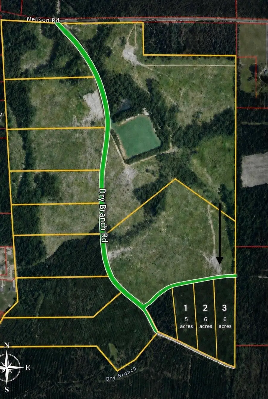 Tract #3 Dry Branch Road, Steens, MS 39766 - #2