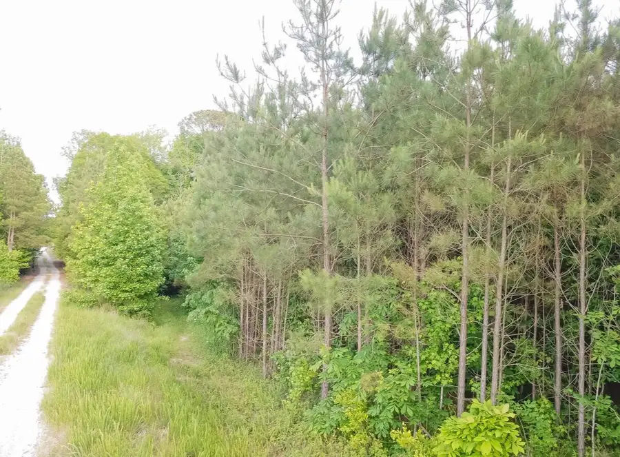 Tract #3 Dry Branch Road, Steens, MS 39766 - #3