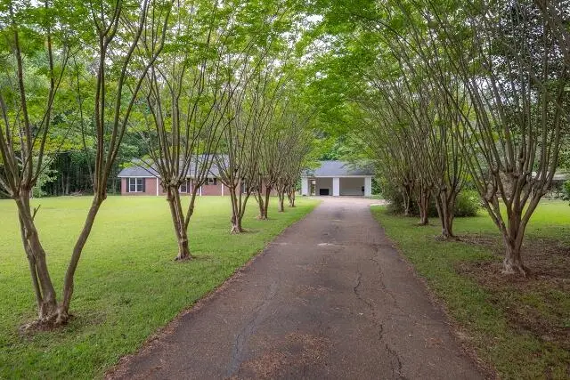 1275 Maben Starkville, Maben, MS 39750 - #2