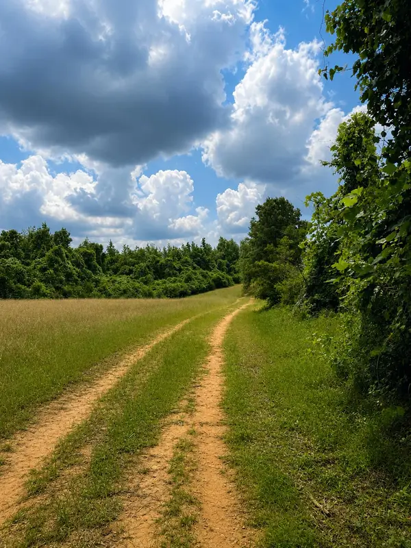 Settlement, Detroit, AL 35552