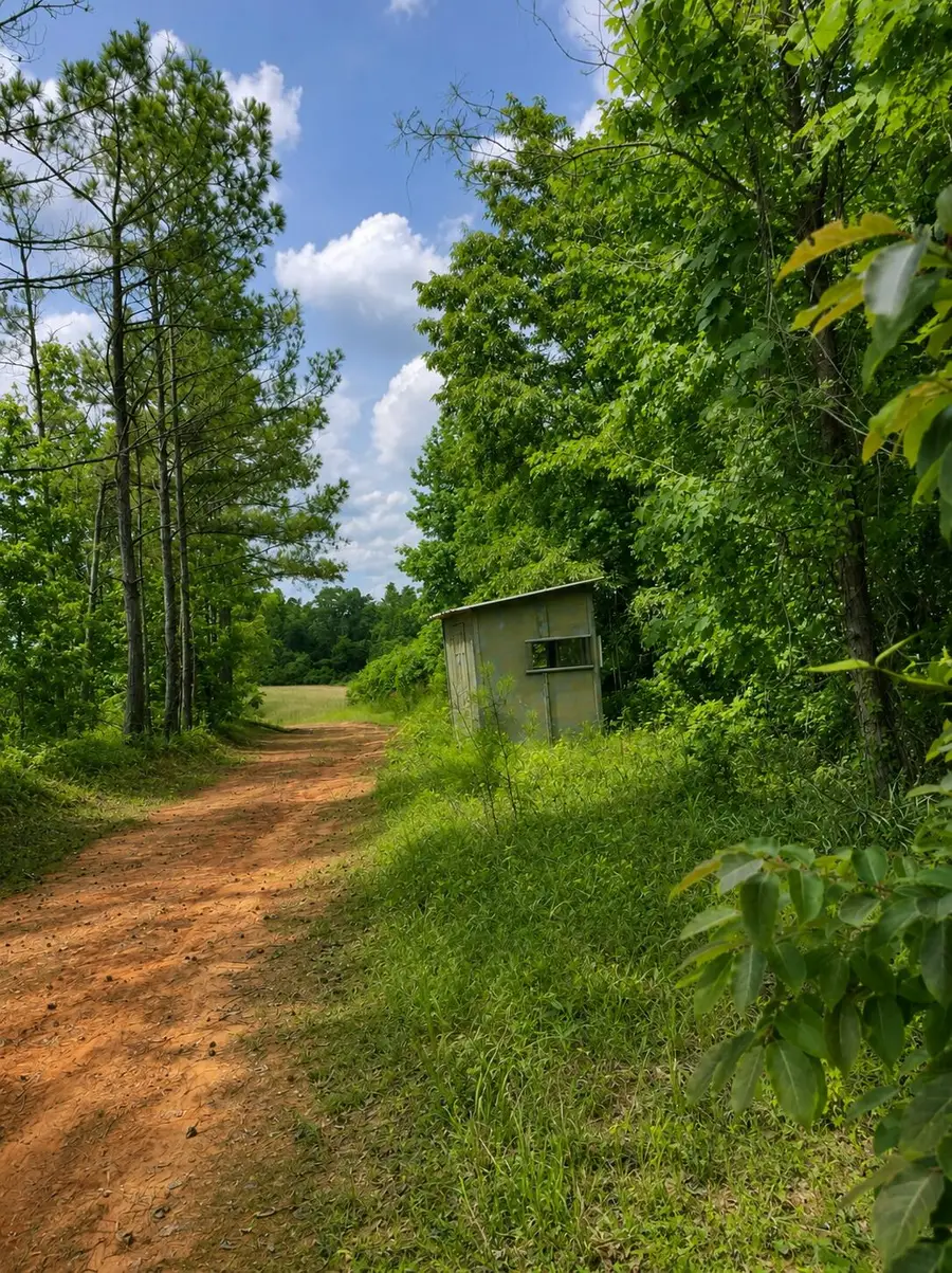 Settlement, Detroit, AL 35552 - #3