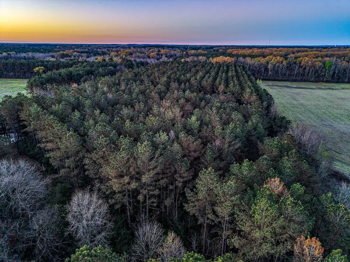 Co Rd 64, Woodland, MS 39776 - #1