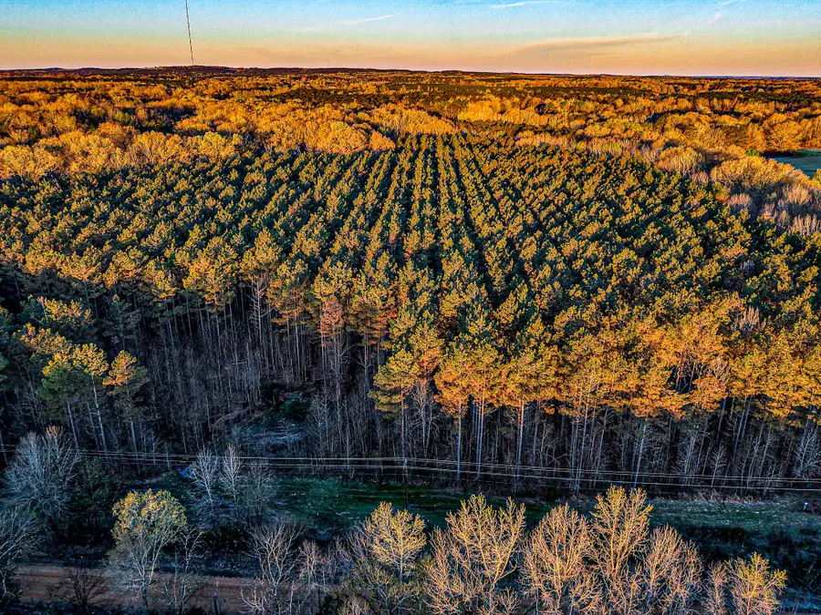 Co Rd 64, Woodland, MS 39776 - #2