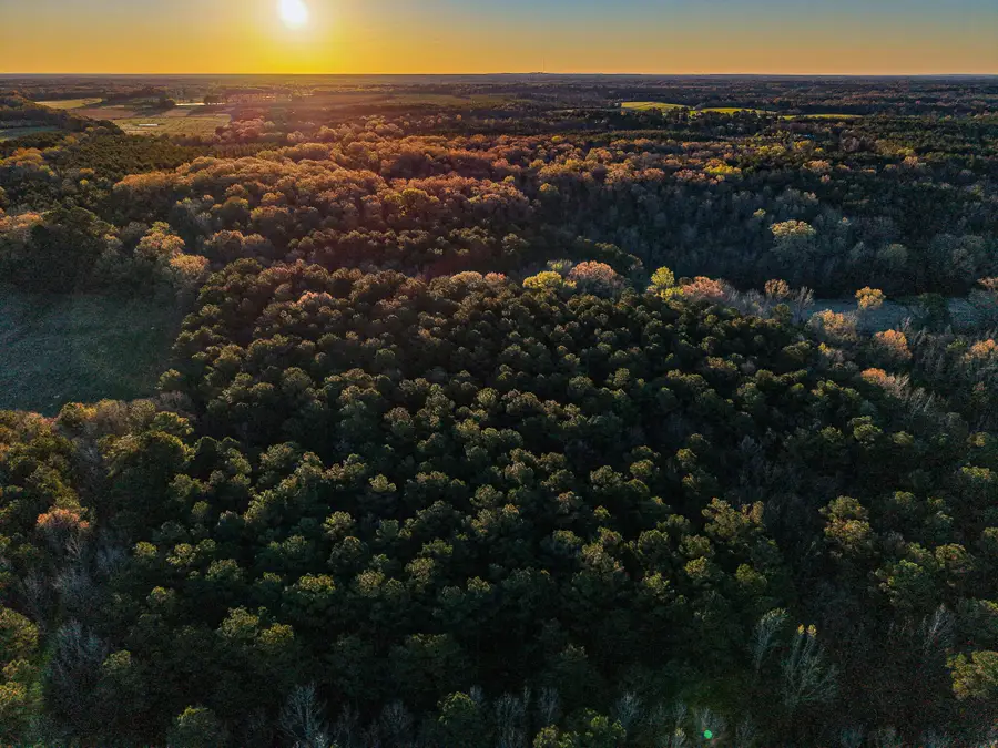 Co Rd 64, Woodland, MS 39776 - #3