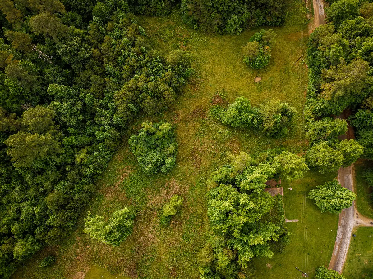 County Road 64, Woodland, MS 39776 - #1