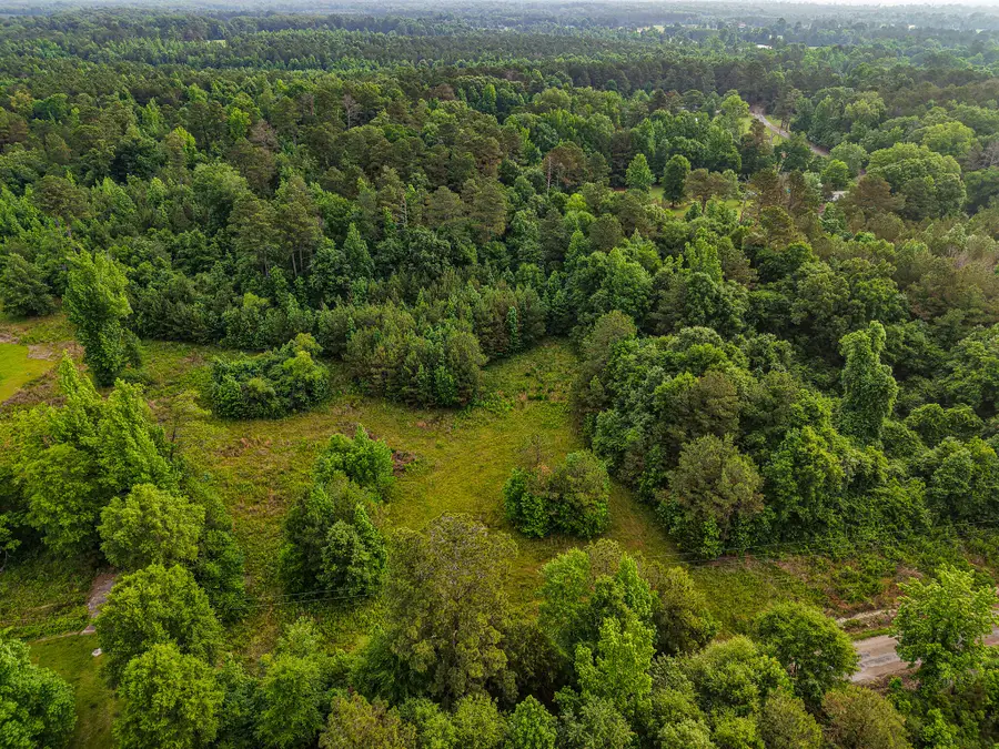 County Road 64, Woodland, MS 39776 - #2