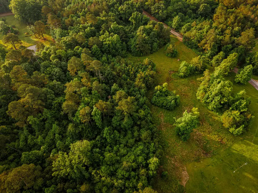 County Road 64, Woodland, MS 39776 - #3