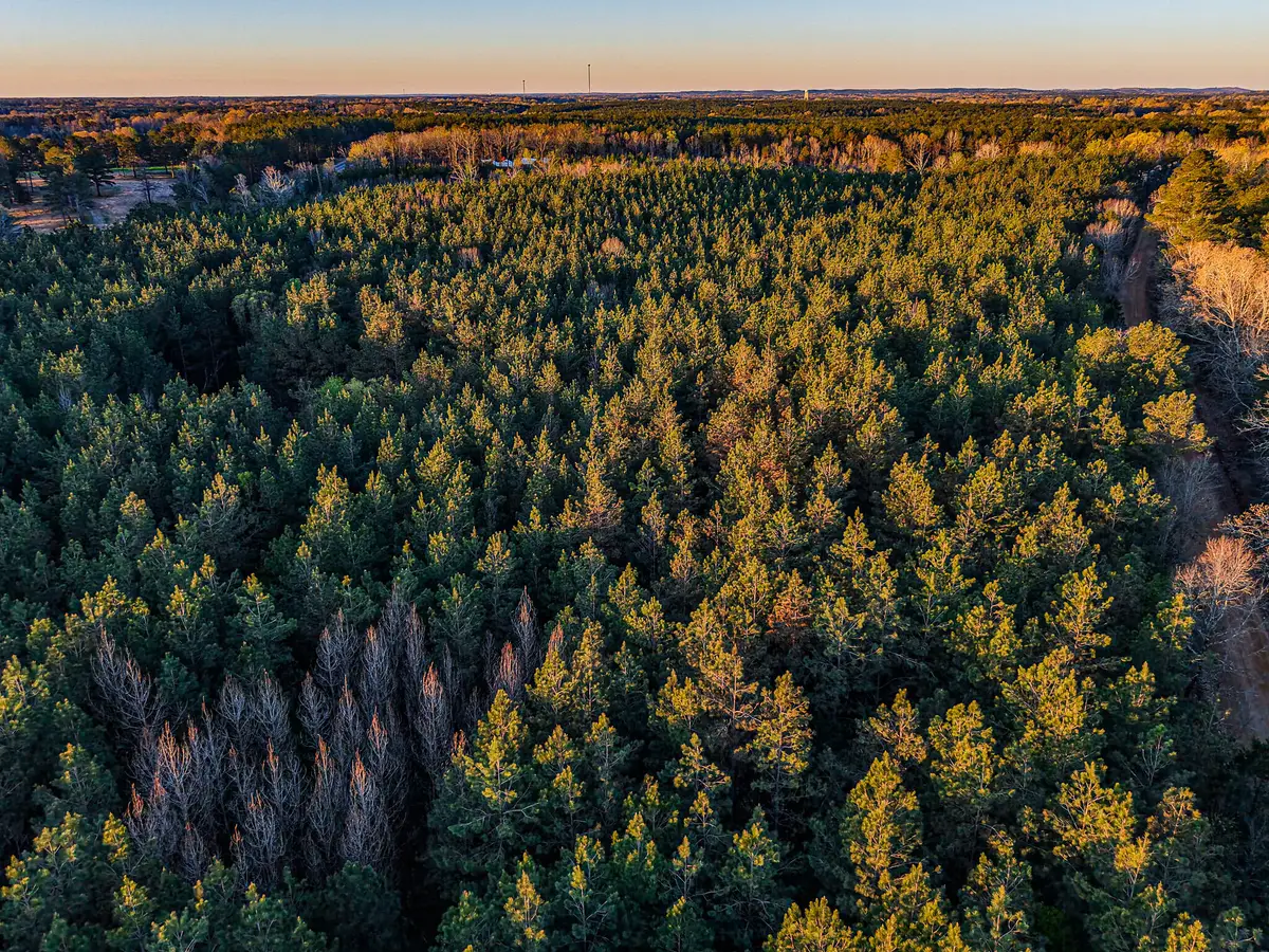 County Road 65, Woodland, MS 39776 - #1