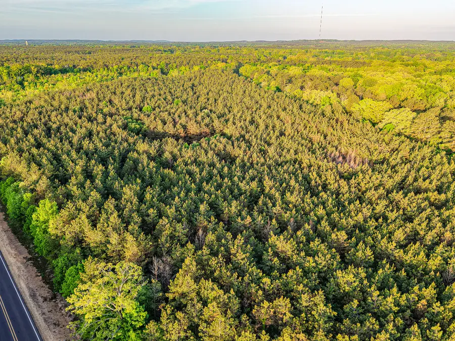 County Road 65, Woodland, MS 39776 - #2