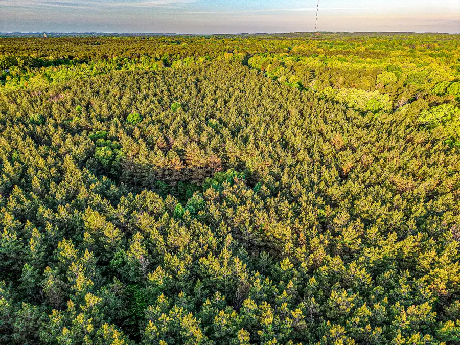 County Road 65, Woodland, MS 39776 - #3