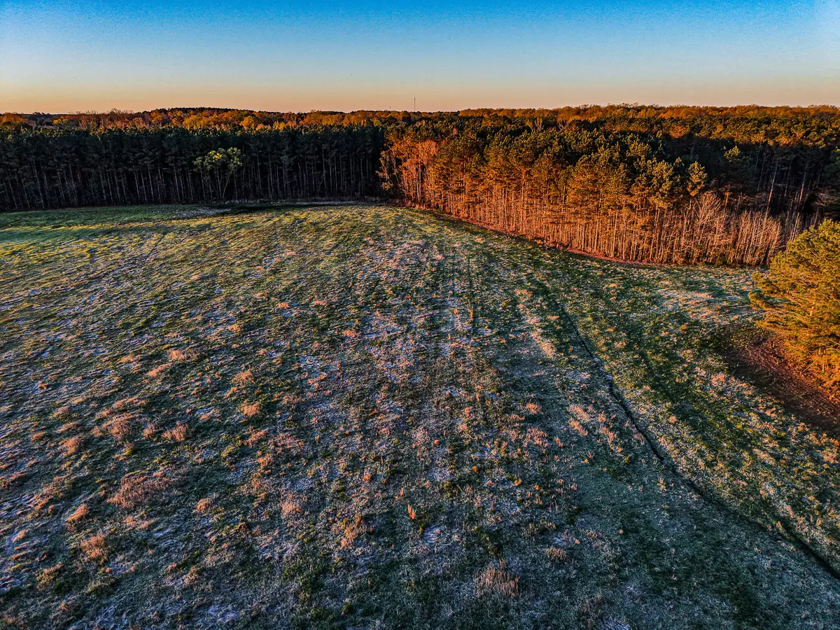 County Road 65, Woodland, MS 39776 - #1