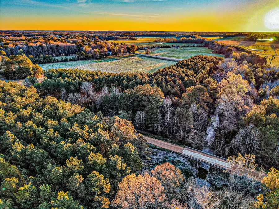 County Road 65, Woodland, MS 39776 - #2