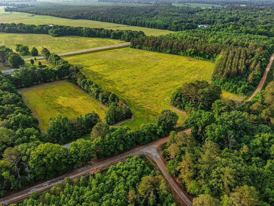 County Road 65, Woodland, MS 39776 - #3