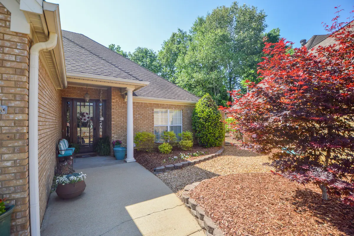 115 Chelsia, Starkville, MS 39759 - #1