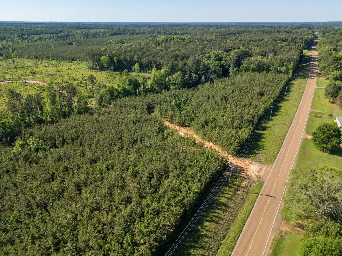 Mississippi 15, Mathiston, MS 39752 - #1