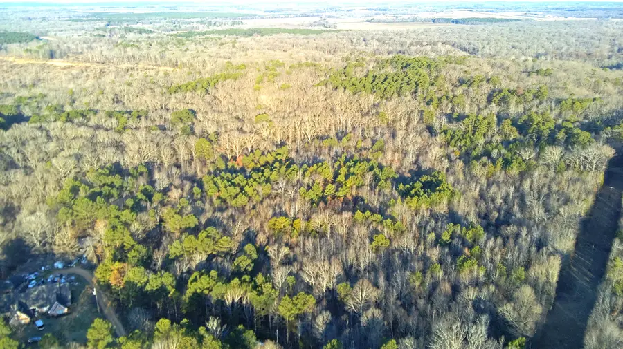 Vfw Rd, Grenada, MS 38901 - #2