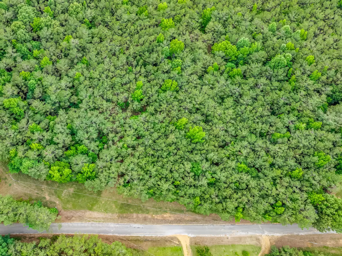 TBD Savannah Lake Rd, Eupora, MS 39744 - #1