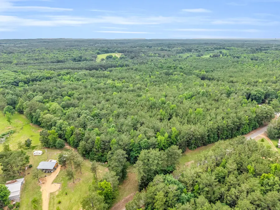 TBD Savannah Lake Rd, Eupora, MS 39744 - #3