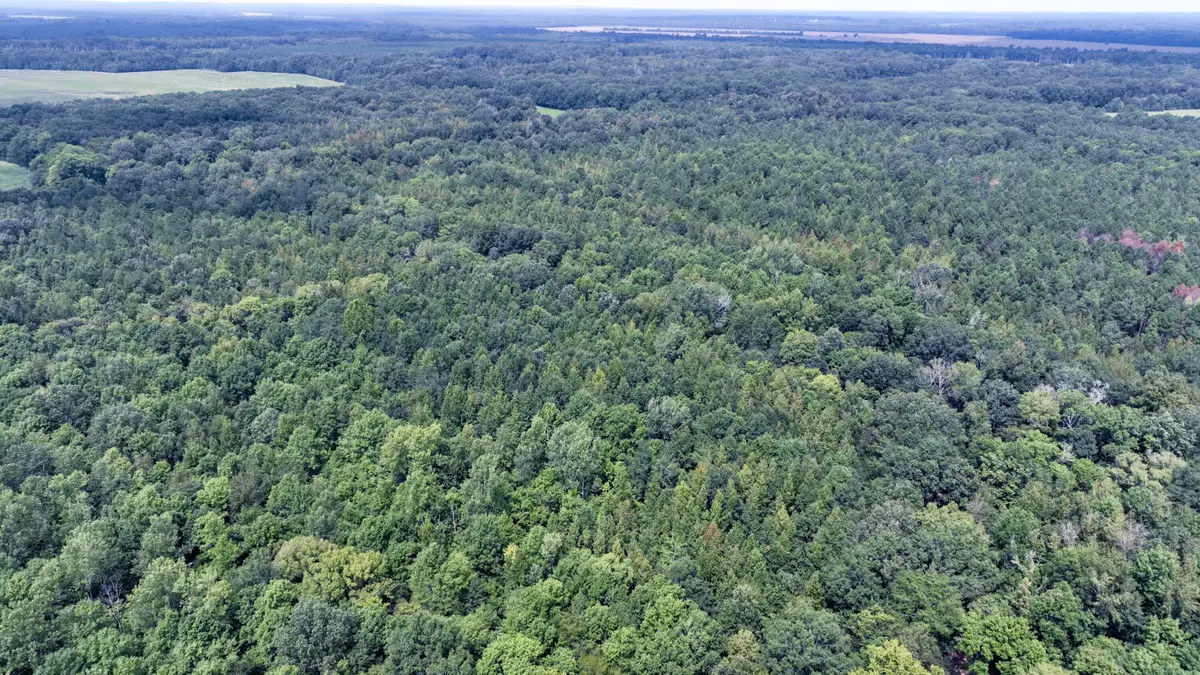 00 Pheba-beasley Road, Pheba, MS 39755 - #1