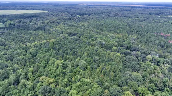 00 Pheba-beasley Road, Pheba, MS 39755