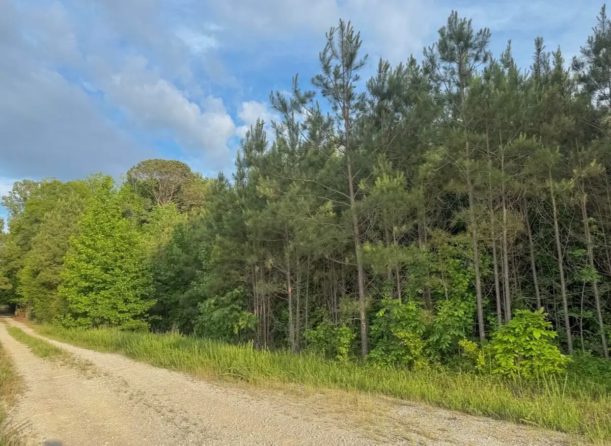 Tract #3 Dry Branch Road, Steens, MS 39766 - #1