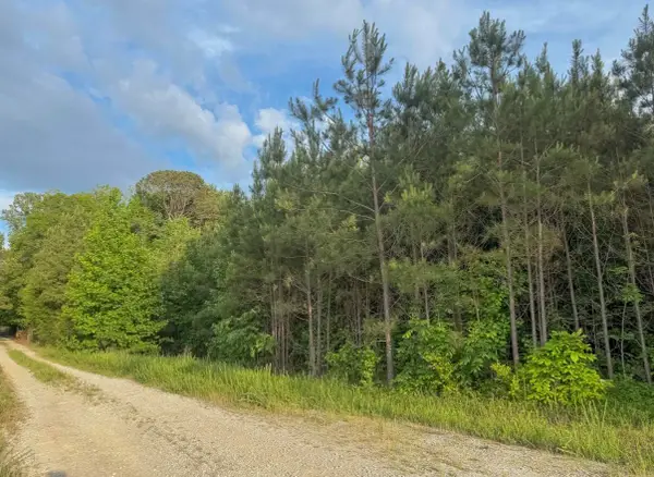 Tract #3 Dry Branch Road, Steens, MS 39766