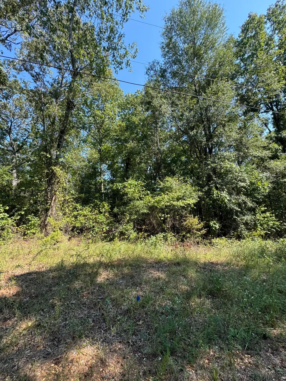 Lake Lurleen Rd, Coker, AL 35452 - #1