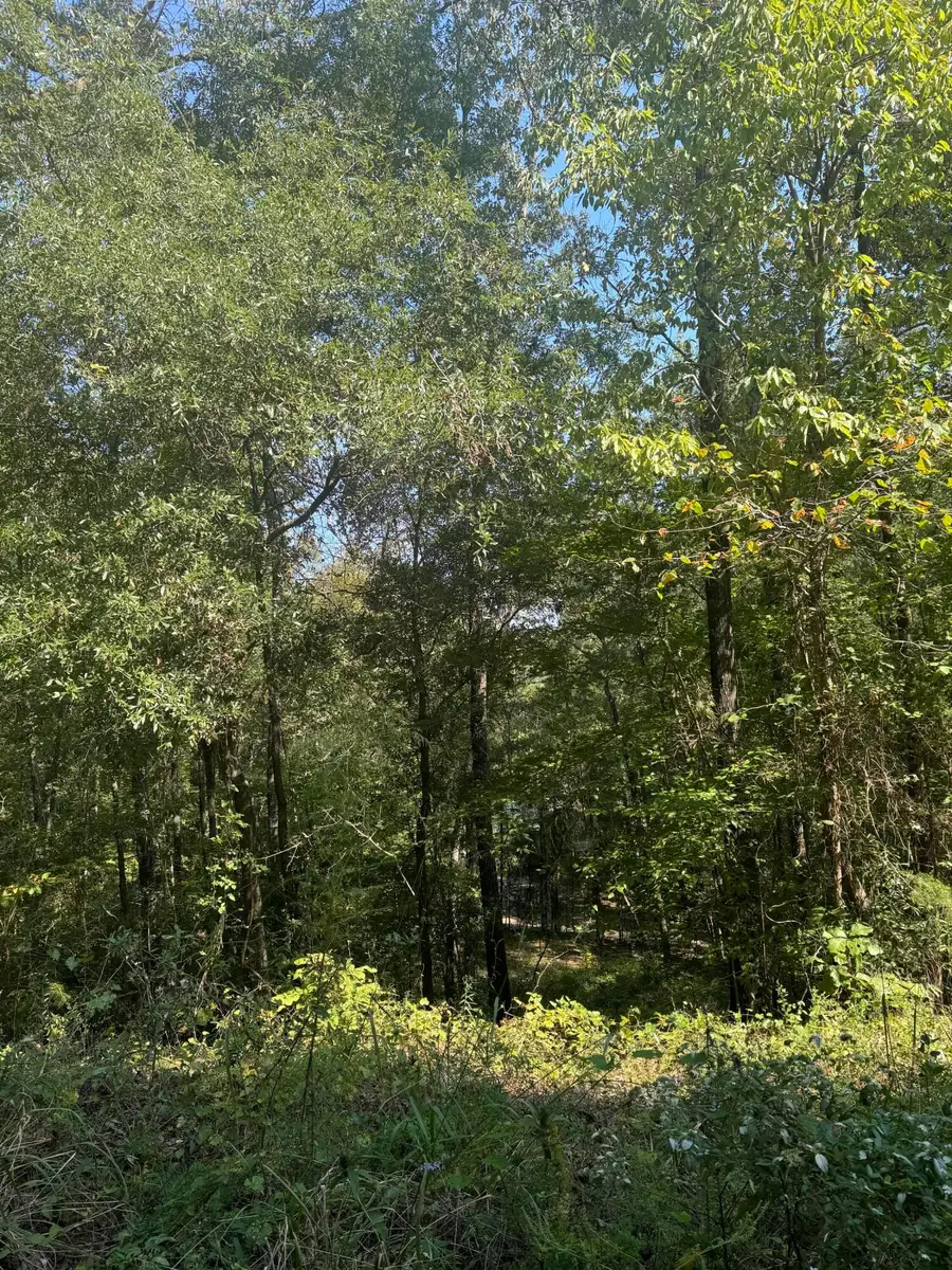 Lake Lurleen Rd, Coker, AL 35452 - #2