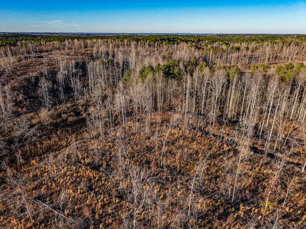 00 Co Rd 3480, New Site, MS 38859