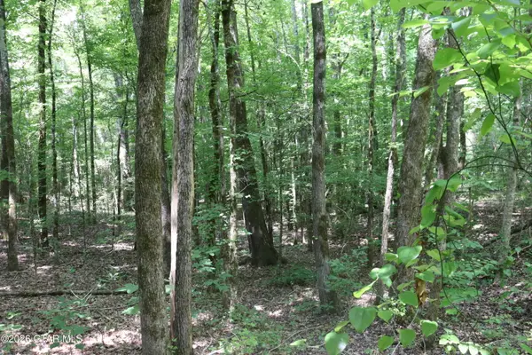 Collums, Pontotoc, MS 38863