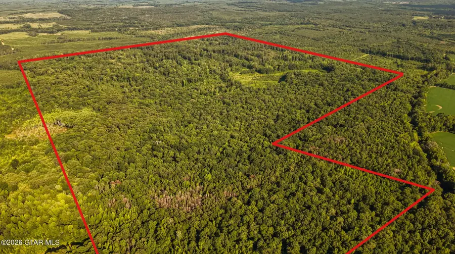 Deer Hill, Nettleton, MS 38858 - #2
