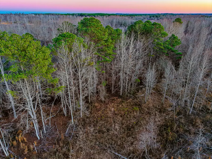 0 Hwy 4, New Site, MS 38859 - #2