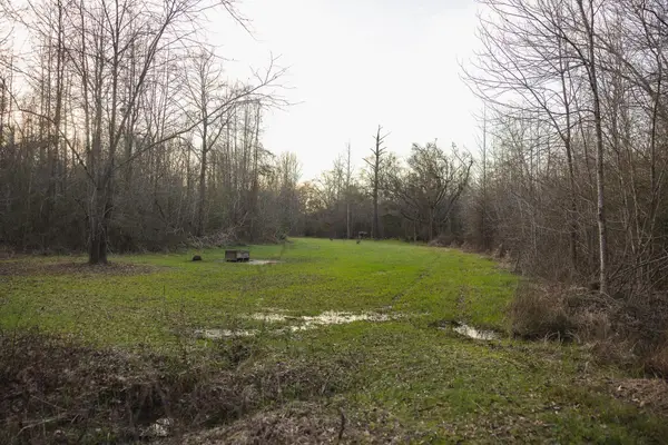 Sandyland Rd, Brooksville, MS 39341