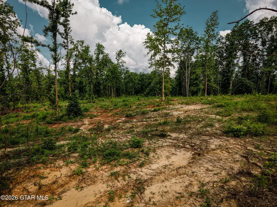 Co Rd 3485, New Site, MS 38859 - #3