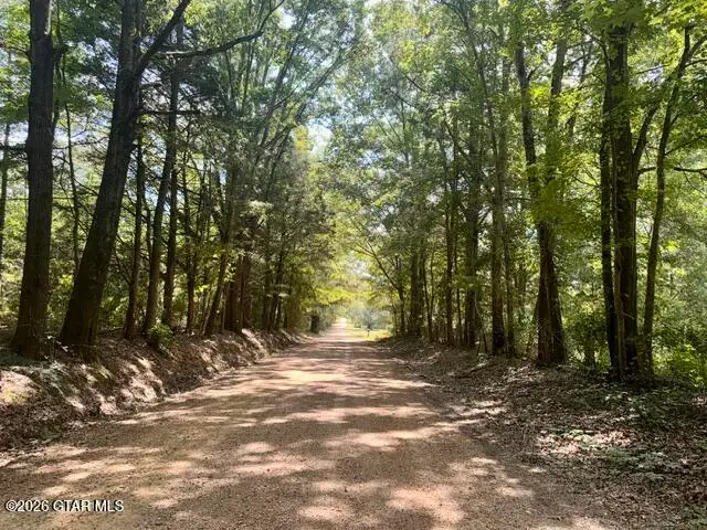 1949 Hazelwood, Cedarbluff, MS 39741 - #3
