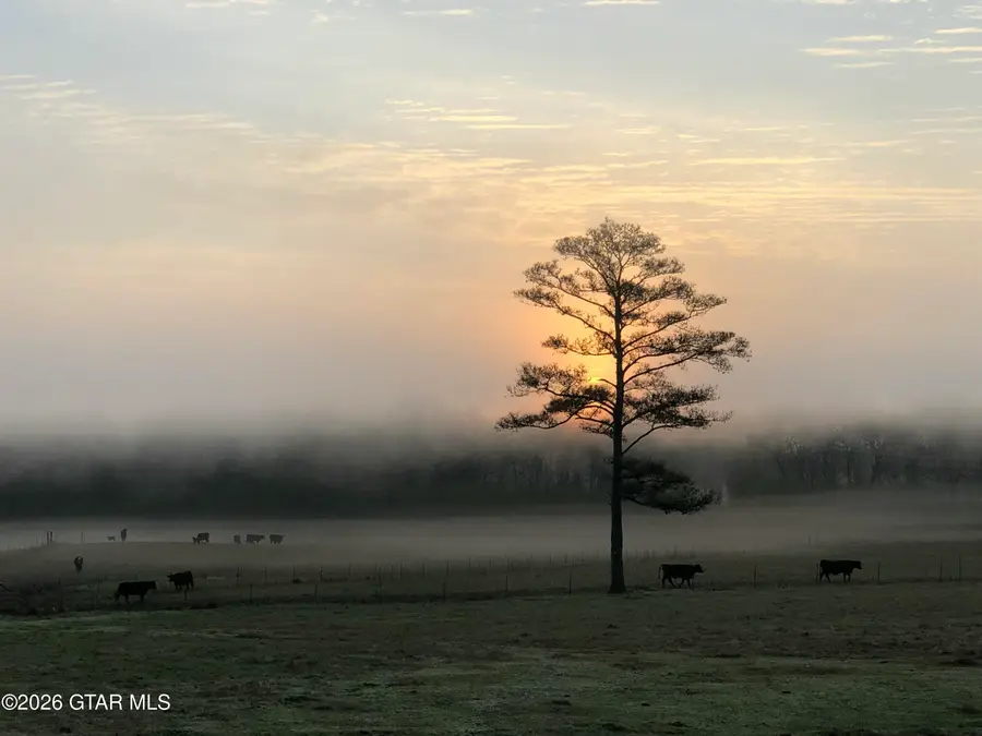 19990 Mississippi 50, West Point, MS 39773 - #3