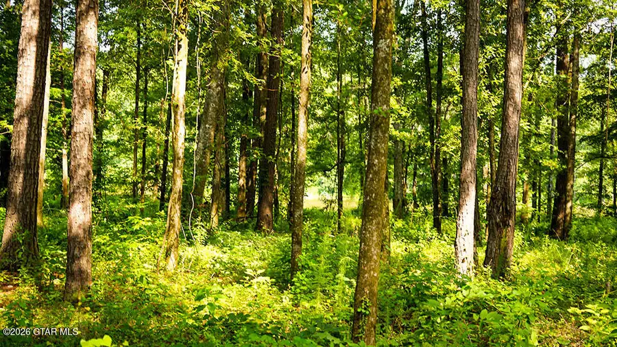 Lot3 Cypress Pointe, Brooksville, MS 39739 - #2