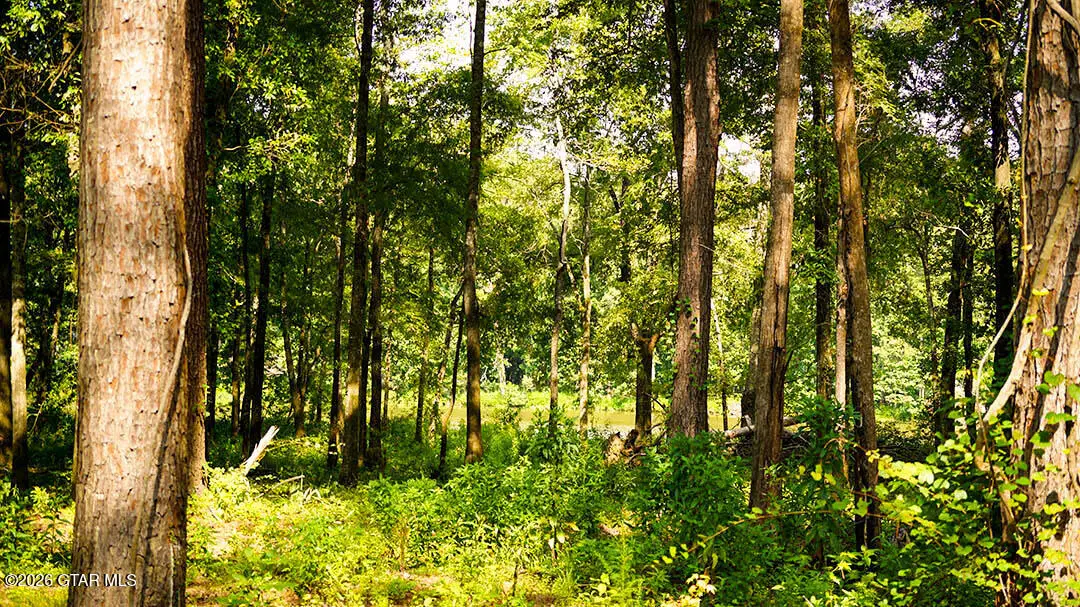 Lot4 Cypress Pointe, Brooksville, MS 39739 - #1