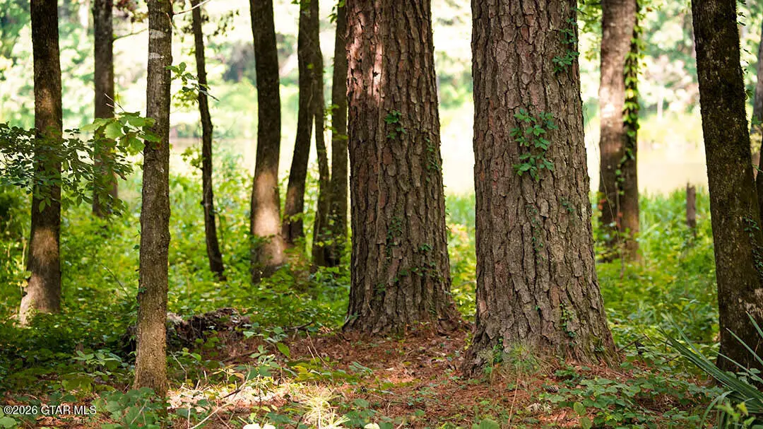 Lot5 Cypress Pointe, Brooksville, MS 39739 - #1