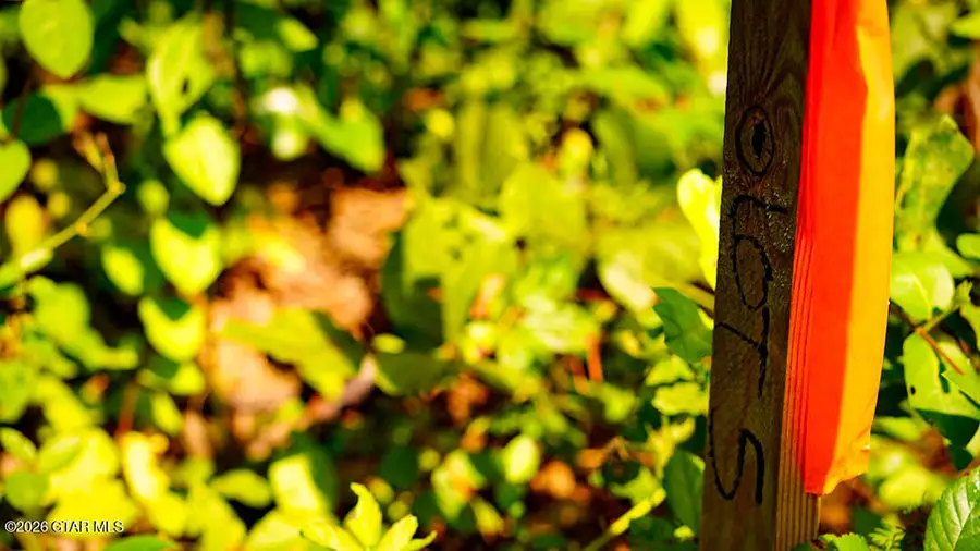 Lot5 Cypress Pointe, Brooksville, MS 39739 - #2