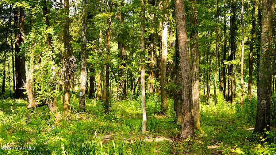 Lot5 Cypress Pointe, Brooksville, MS 39739 - #3